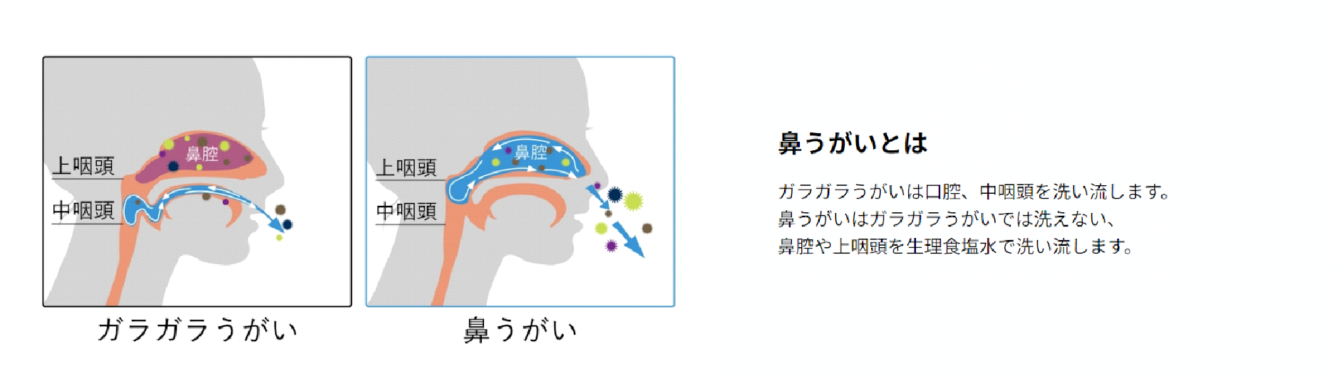鼻うがい