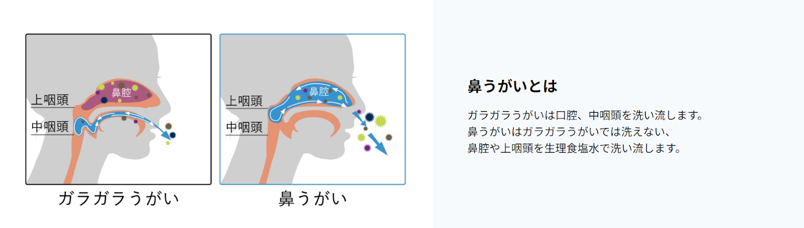 鼻うがいとは