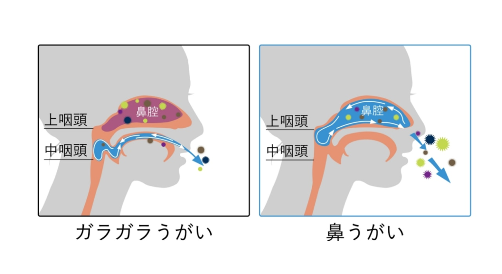 鼻うがいの仕組み
