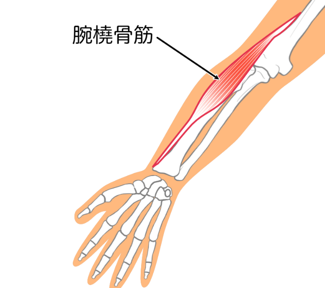 腕